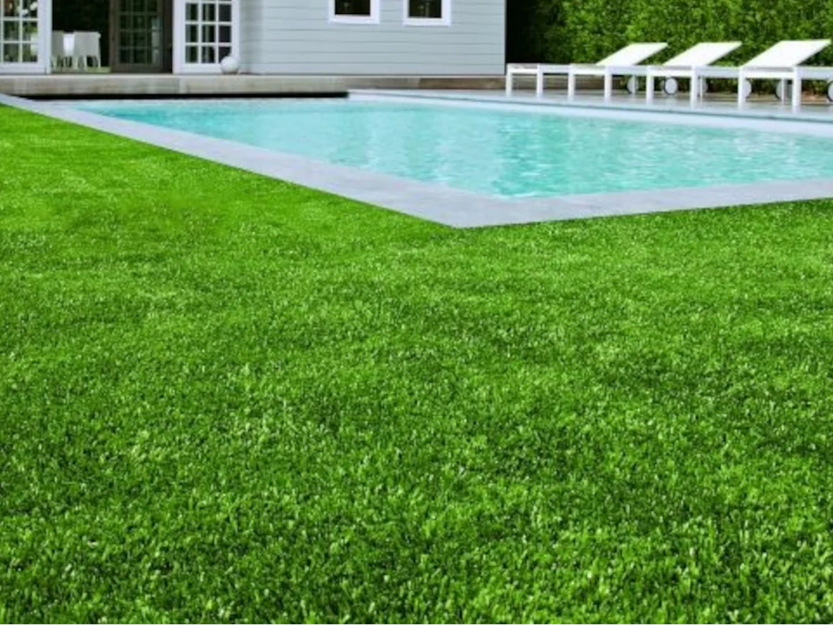 GRASS